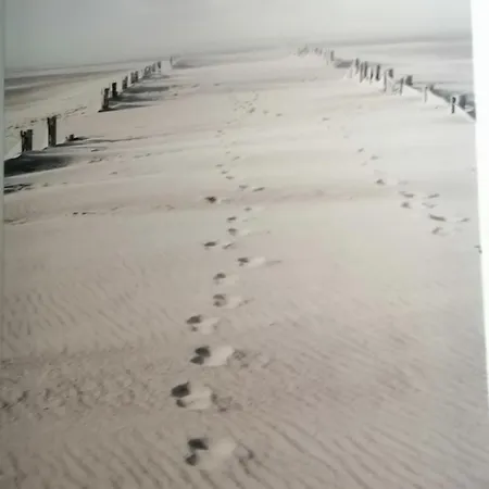 Gæstehus Playa *