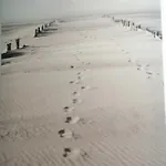 Гостевой дом Playa *