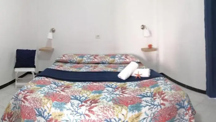 Playa ゲストハウス