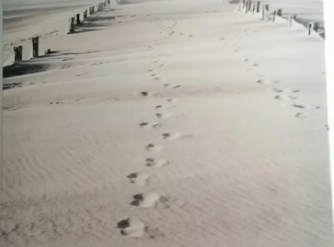 ゲストハウス Playa *